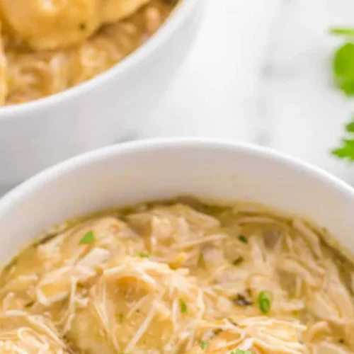 A slow cooker filled with chicken and dumplings, ready to serve.